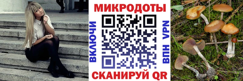 купить наркотик  Воронеж  Псилоцибиновые грибы Psilocybine cubensis 