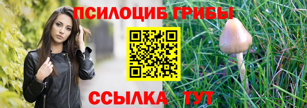 Галлюциногенные грибы Psilocybe Воронеж