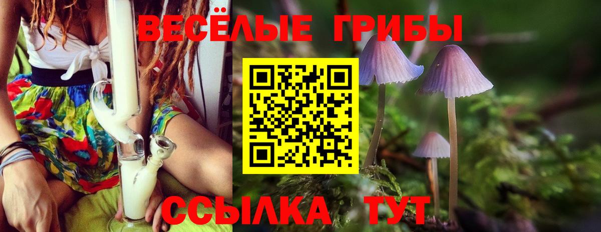 Галлюциногенные грибы Magic Shrooms Воронеж