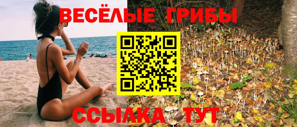 Воронеж  Псилоцибиновые грибы Magic Shrooms  Вход с VPN 