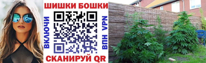 Каннабис OG Kush  Воронеж 